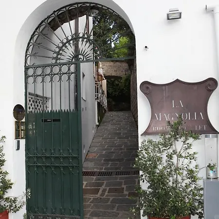 La Magnolia - Centre Sorrento