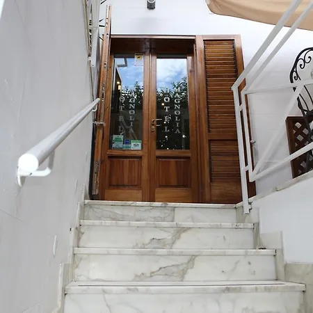 Hotel La Magnolia - Centre *